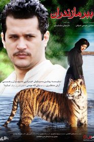 مایا ببر مازندران