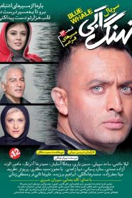 قسمت 13 سریال نهنگ آبی: مسیرهای فرعی