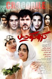 کروکودیل
