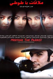 ملاقات با طوطی