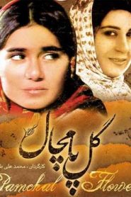 سریال گل پامچال
