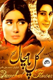 قسمت 7 سریال گل پامچال