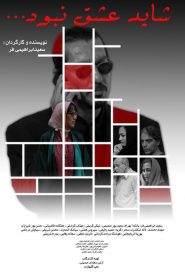 شاید عشق نبود