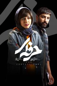 قسمت 4 سریال حرفه ای