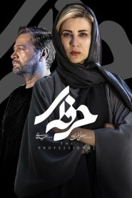 قسمت 5 سریال حرفه ای