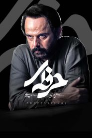 قسمت 6 سریال حرفه ای