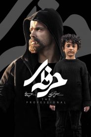 قسمت 7 سریال حرفه ای