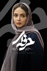 قسمت 8 سریال حرفه ای