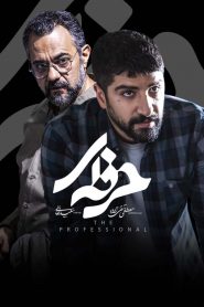 قسمت 9 سریال حرفه ای