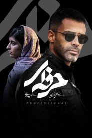 قسمت 10 سریال حرفه ای