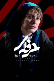 قسمت 12 سریال حرفه ای