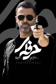 قسمت 13 سریال حرفه ای