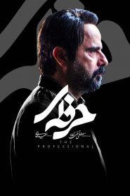 قسمت 14 سریال حرفه ای