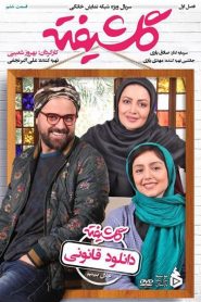 قسمت 6 سریال گلشیفته