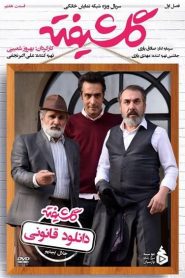 قسمت 7 سریال گلشیفته