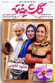 قسمت 10 سریال گلشیفته