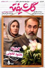 قسمت 14 سریال گلشیفته