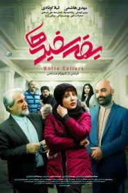 یقه سفیدها