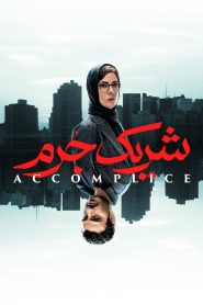 قسمت 2 سریال شریک جرم