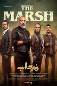 قسمت 12 سریال مرداب