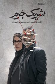 قسمت 5 سریال شریک جرم