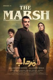 قسمت 14 سریال مرداب