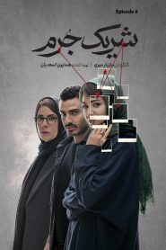 قسمت 6 سریال شریک جرم