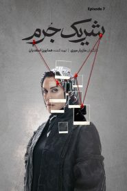 قسمت 7 سریال شریک جرم