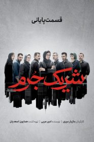 قسمت 8 سریال شریک جرم