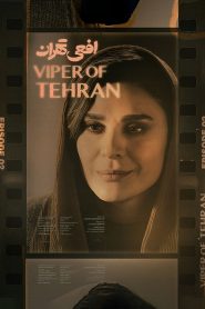 قسمت 2 سریال افعی تهران