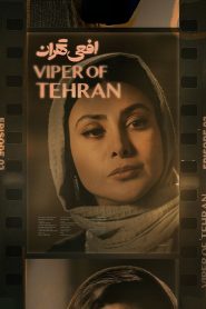 قسمت 3 سریال افعی تهران
