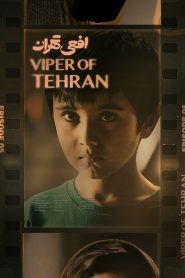 قسمت 5 سریال افعی تهران