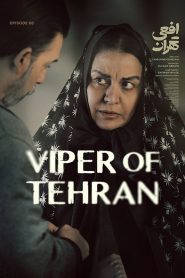 قسمت 8 سریال افعی تهران