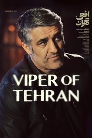 قسمت 9 سریال افعی تهران