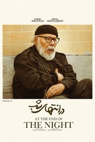قسمت 8 سریال در انتهای شب
